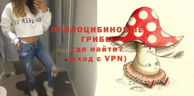 Псилоцибиновые грибы Psilocybe  мега ONION  Звенигород 